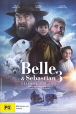 Belle and Sebastian 3: The Last Chapter (2018)