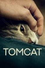 Tomcat (2016)