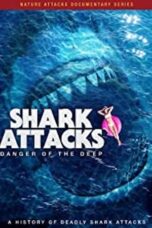 Shark Attacks (2020)