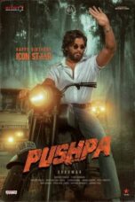 Pushpa: The Rise - Part 1 (2022)